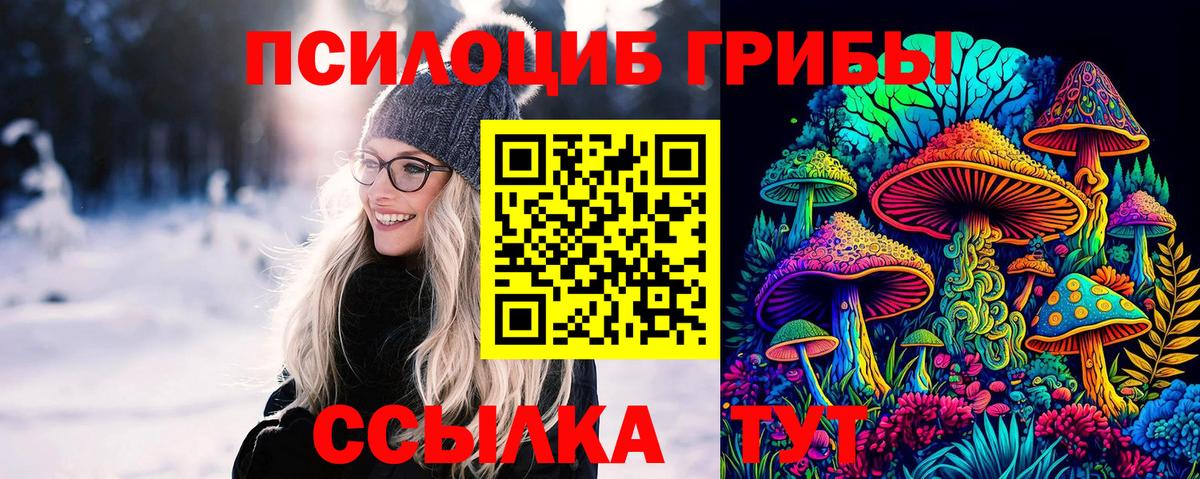 Галлюциногенные грибы Psilocybe Партизанск